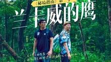 警方辟谣“大理8岁男孩被老师暴打跳楼”：女子为引流带货造谣被罚款