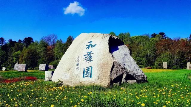 陶阿甘弹弹堂大作战