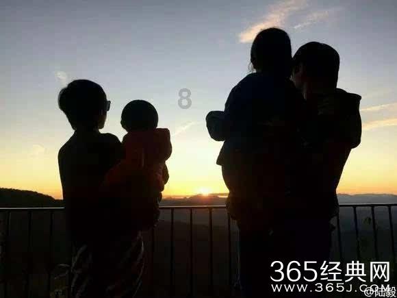 救援受困的长颈鹿
